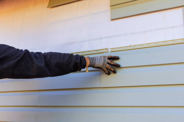 Best Historical Building Siding Restoration  in Ensley, FL